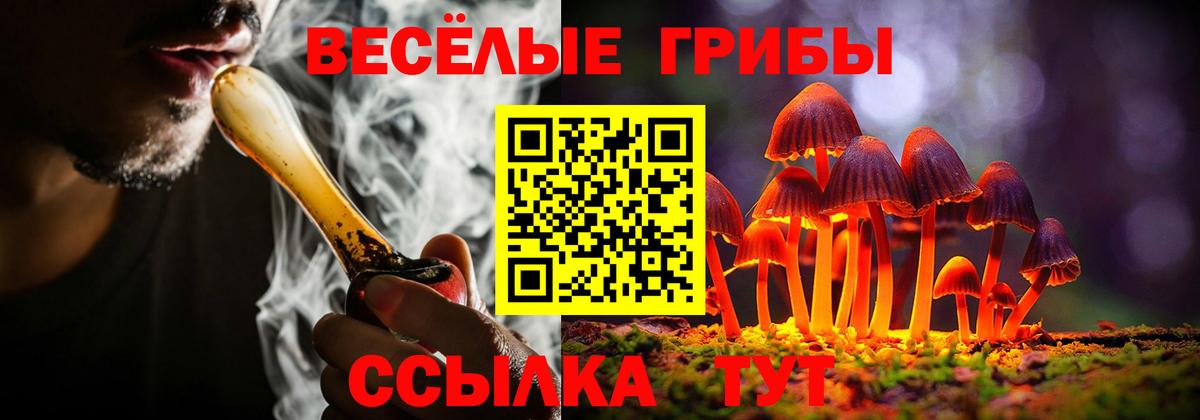 Псилоцибиновые грибы MAGIC MUSHROOMS  где купить наркотик  Вход с VPN  Новоалександровск  Галлюциногенные грибы GOLDEN TEACHER 