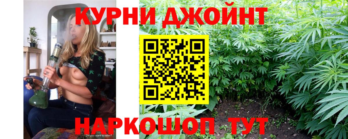 Конопля SATIVA & INDICA  Вход с VPN  Шишки марихуана тримм  Шишки марихуана семена  Новоалександровск 